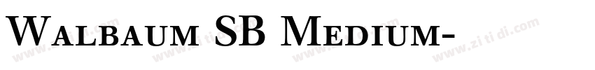 Walbaum SB Medium字体转换